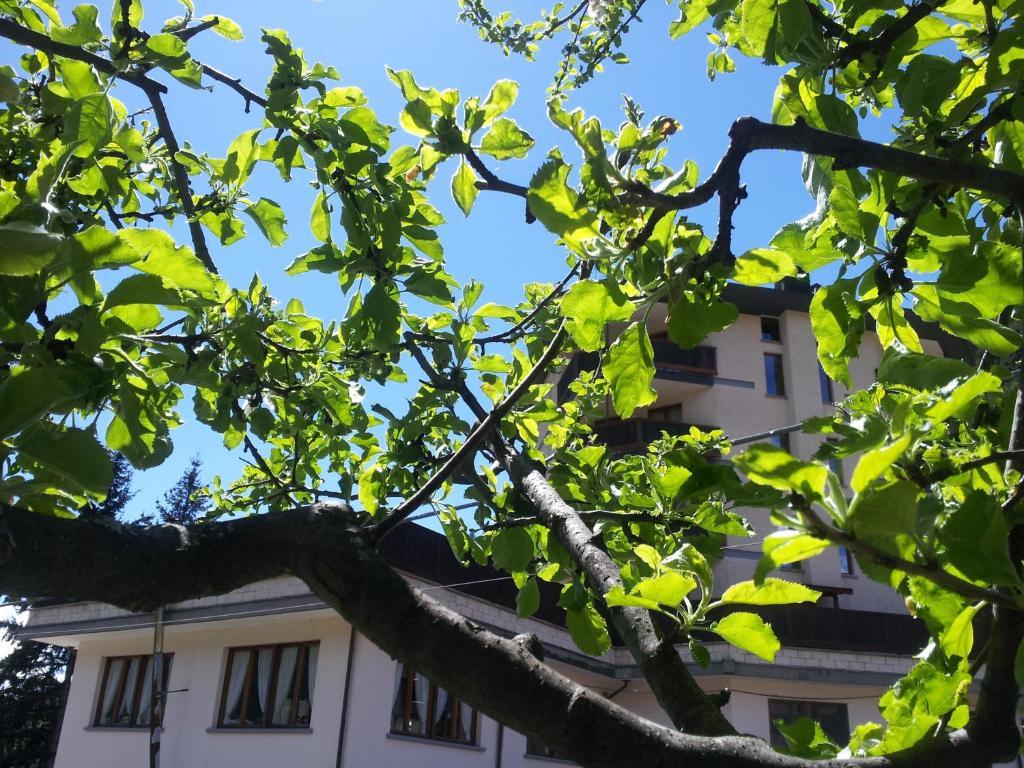 La Torretta Hotel Challand-Saint-Anselme Екстериор снимка